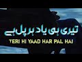 Teri hi yaad har pal hai _heart touching naat_ new islamic status 2025 _malika islam_ nasheed club