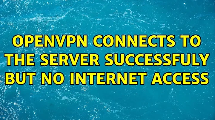 OpenVPN connects to the Server successfuly but no internet access