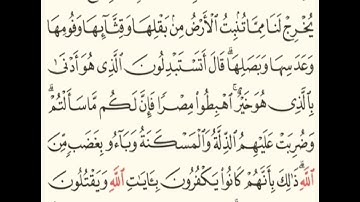 سورة البقرة الصفحة 9 بصوت الشيخ ياسر الدوسري