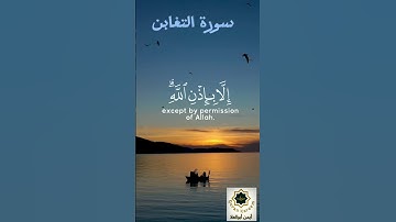 القرآن الكريم. سورة التغابن. القاريء رعد الكردي. #ارح_قلبك #tiktok #youtube #likee #kwai #قرآن #ايمن