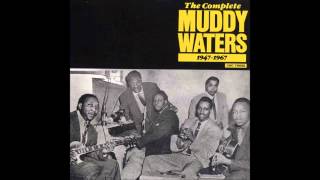 Video thumbnail of "Muddy Waters, Blow wind blow"