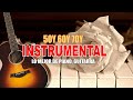 Grandes Boleros Orquestados En Piano y Guitarra Musica Instrumental - Instrumentales De Oro