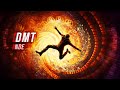 Mon exprience de mort et de renaissance sous dmt