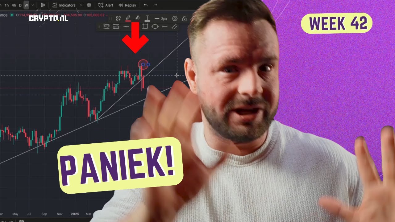 Paniek in de markt: houdt Bitcoin stand of begint de bearmarkt?