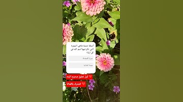 ماهي السورة التي ذكر اسم الله في كل آيه من آياتها