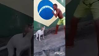 Ejee junr tabesha new zed music bombo fun clip #newmusic