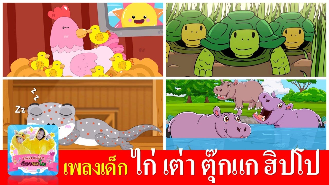 เพลงเด็ก ไก่ เต่า ตุ๊กแก ฮิปโป | ไก่กุ๊กกุ๊กไก่ | เต่าเอ๋ยเต่า | ตุ๊กแก | ฮิปโป