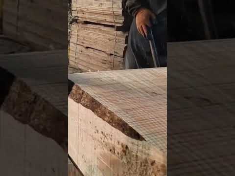 #woodcut #carpentry #woodcuting #cuttingwood #cutting #toolsmachine #woodworking #tool #furniture
