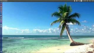 Dreamscene for Linux - Animation Wallpaper Tutorial Linux