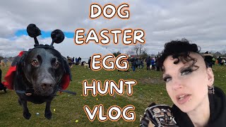 Dog Easter Egg Hunt Vlog | Madame Absinthe