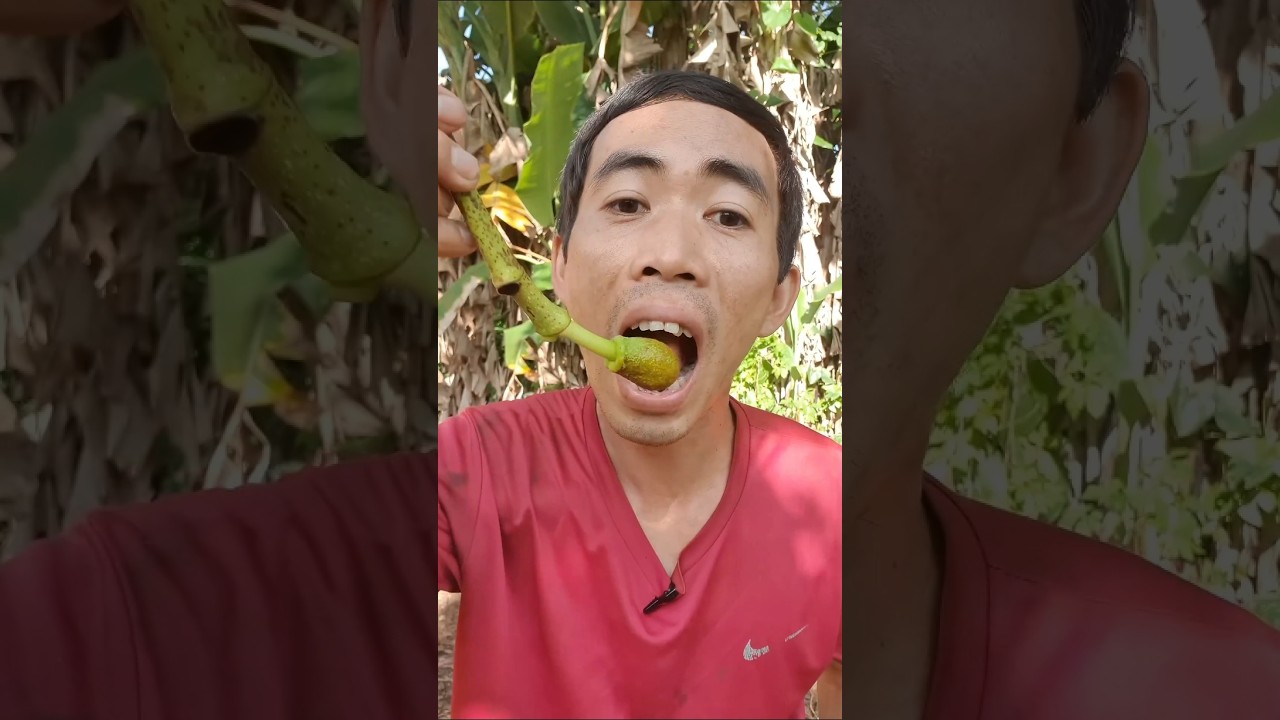 Trying out jackfruit 1-100 #bushcraft #camping #outdoors