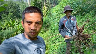 Download Lagu Eerste vlogactiviteiten in het dorp | cassaveoogst MP3 Download Lagu Eerste vlogactiviteiten in het dorp | cassaveoogst MP3