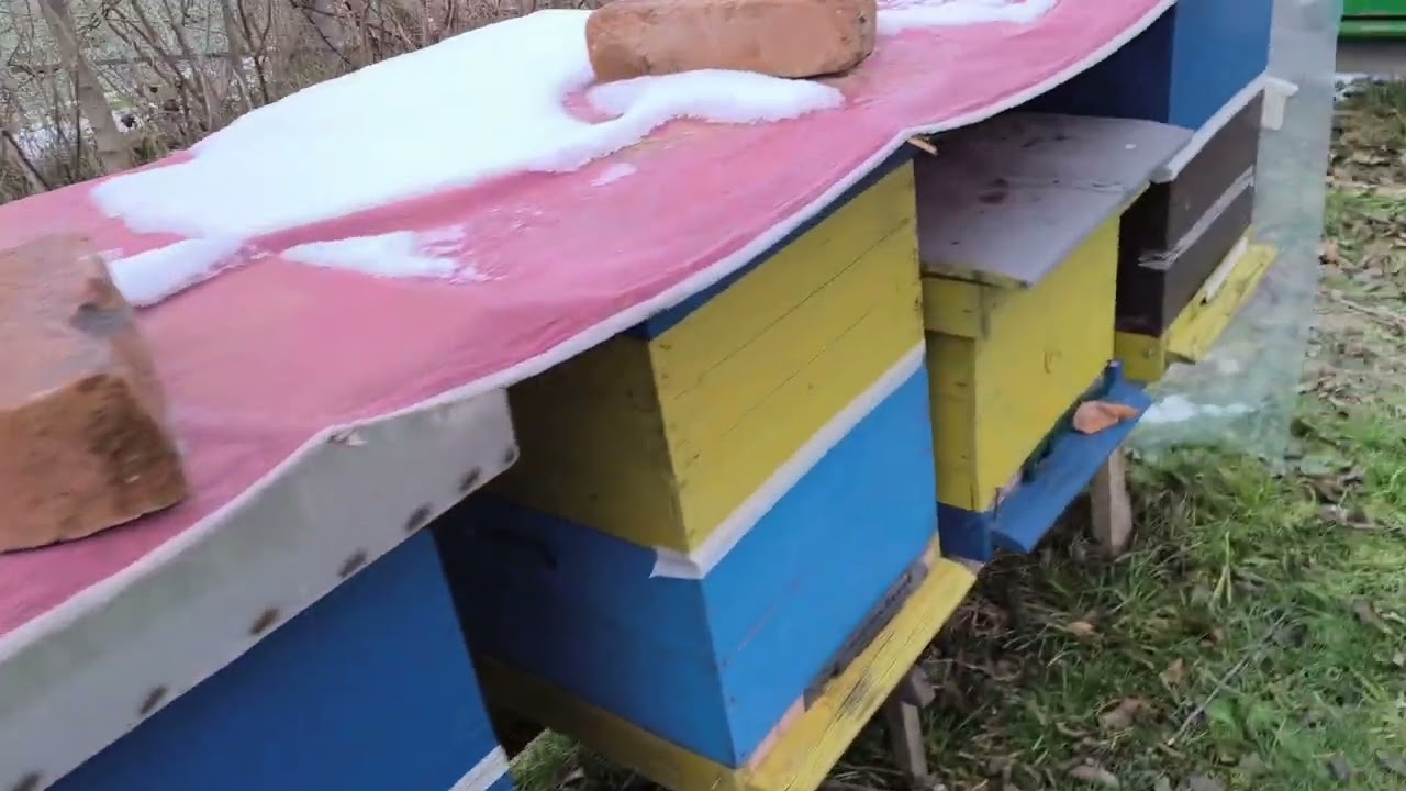 Dodatni rad na pčelinjaku u januaru,spas za pčele