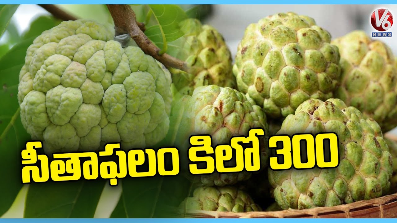 Huge Demand For Seasonal Fruit Custard Apple In Markets Hyderabad
