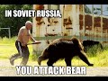 Russia making fun of bear - Meanwhile in Russia