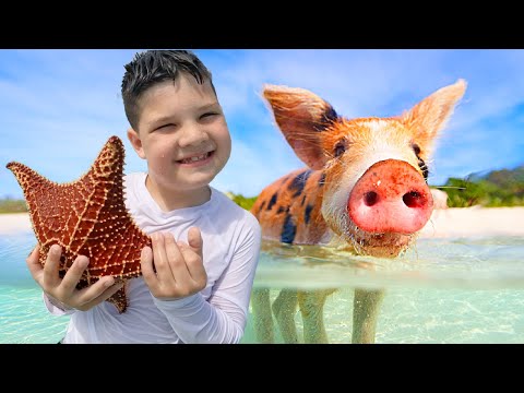 CALEB SWIMS with PIGS in the BAHAMAS! 🐷