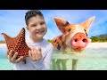 Caleb swims with pigs in the bahamas 