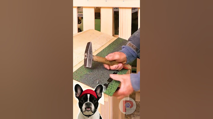 Wow! Watch him make a house for a dog on a budget #diy #crafts #dog