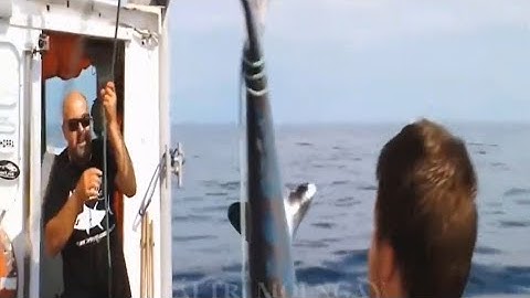 Cá Ngừ Độc Ác Mùa 2 : Wicked Tuna Tập 10 | Chương Trình Giải Trí