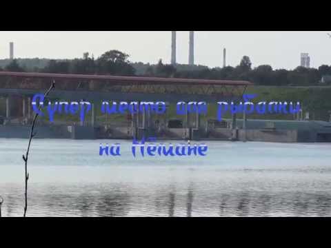 рыбалка на немане в гродно видео 2015 рыбалка на немане в гродно видео 2015