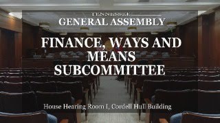 Finance, Ways & Means Subcommittee- April 16, 2024- House Hearing Room 1