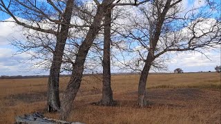 Хабар кучкуется в мусорных пятнах.