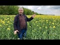 No-till и практика Владимира Вакуляка  | часть 1