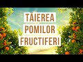 VIATA IN GRADINA - Taierea pomilor fructiferi