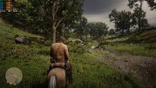RED DEAD REDEMPTION 2 EMPRESS RED DEAD REDEMPTION 2 EMPRESS