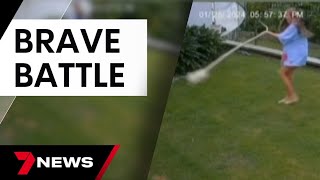 What would you do if you found a snake eating your pet guinea pig? | 7 News Australia