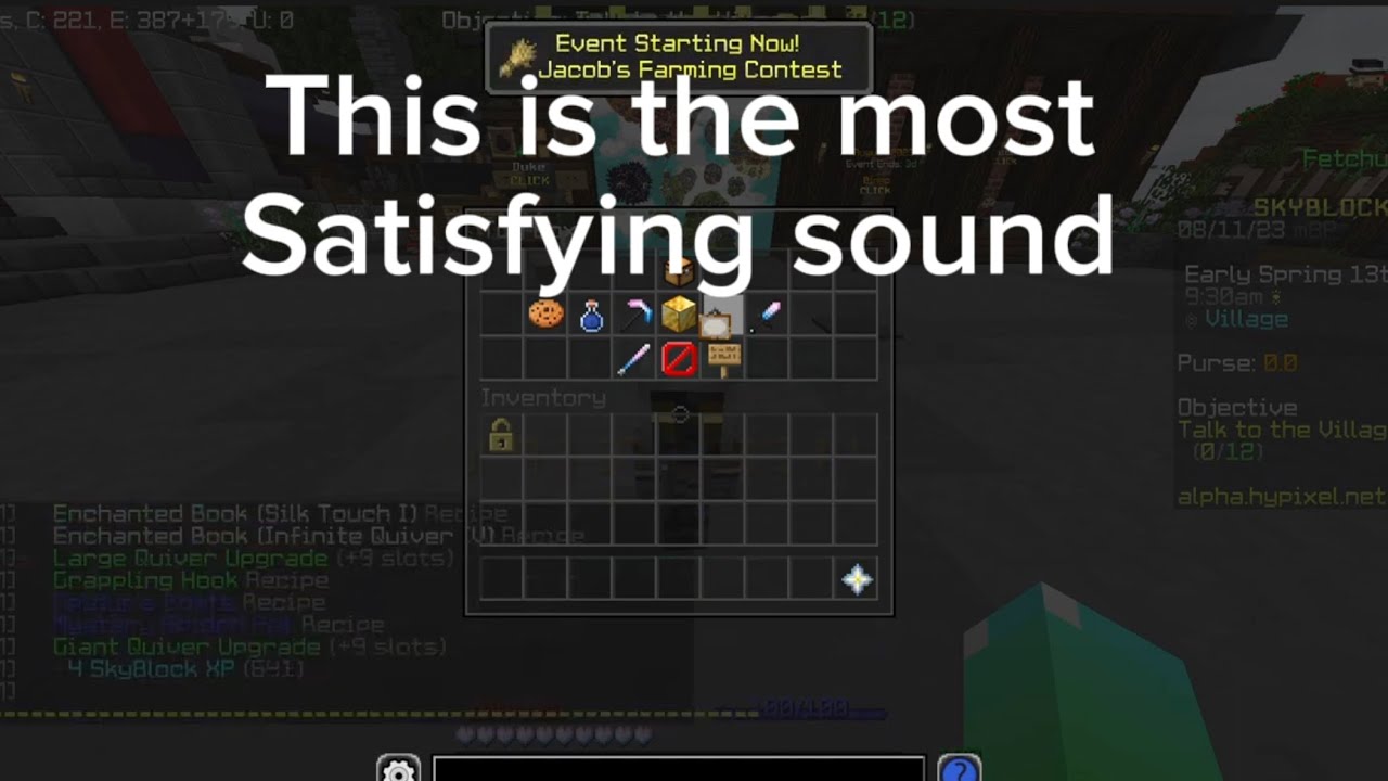 The Most Satisfying Sound In Hypixel Skyblock - YouTube