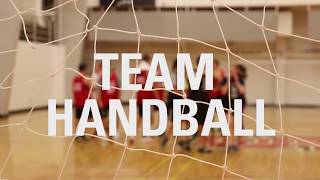 Team Handball screenshot 2