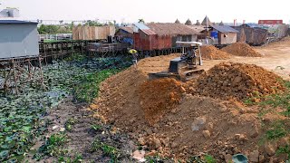 #Ep8 The Update Project 75% Filling Land Use Dump Truck 24T,5T & Bulldozer Mini Pushing Stone & soil