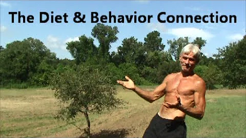 The Diet & Behavior Connection