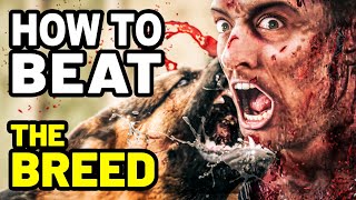 How to Beat the BLOODTHIRSTY DOGS in THE BREED