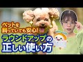 おうち周りの雑草に除草剤を使ってみたいけど、飼っているペットへの安全性って大丈夫??その疑問をふたばが博士に思い切って相談してみました✨ふたばの雑草相談室です♪