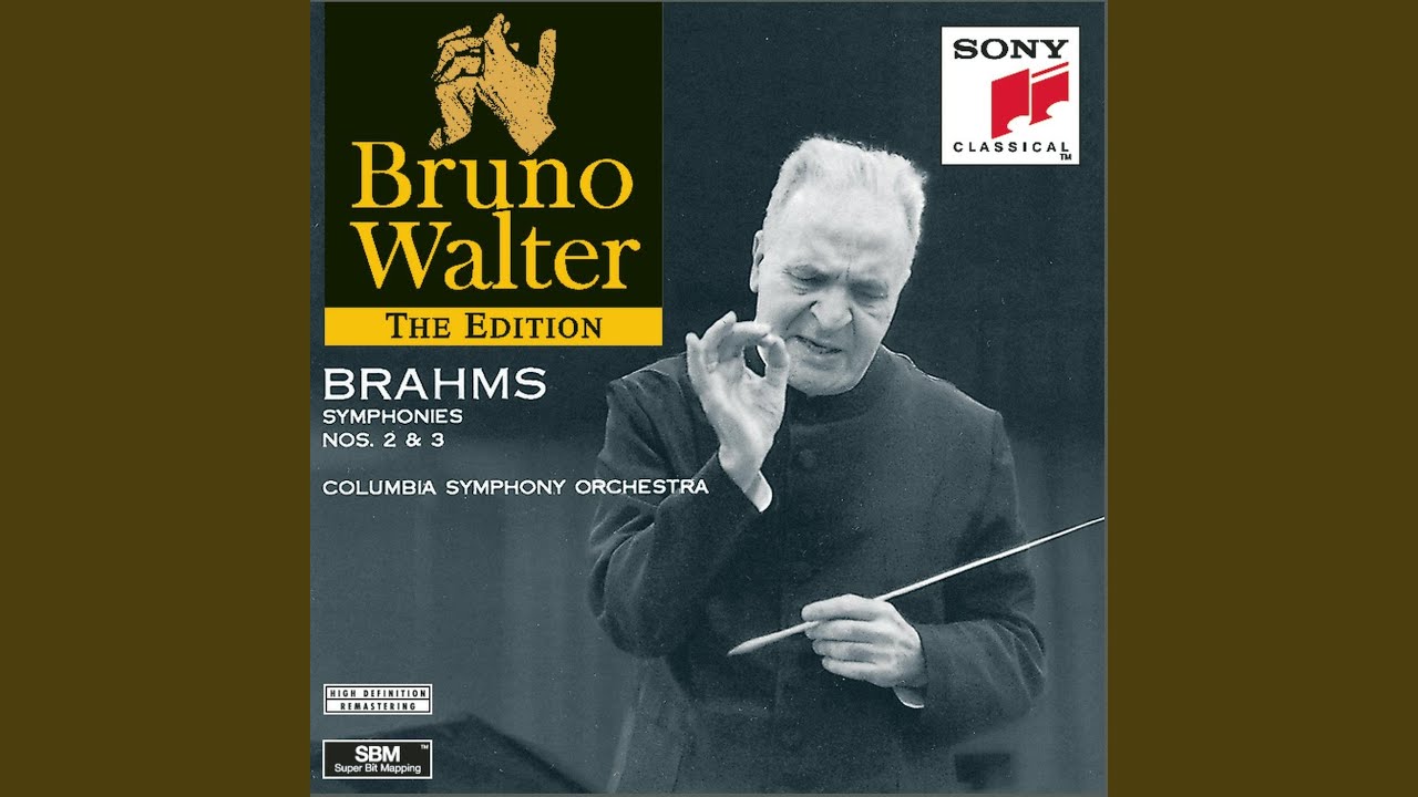 Symphony No. 2 in D Major, Op. 73: I. Allegro non troppo Symphony No. 2 in D Major, Op. 73: I. Allegro non troppo