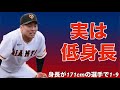 【応援歌】身長が171cmの現役選手で1-9