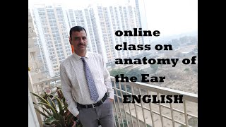 THE EAR - ENGLISH