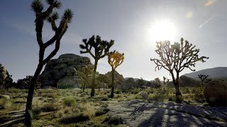 National parks overwhelmed with trash