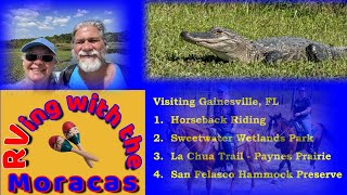 Gainesville, FL -- Horseback Riding, Alligators and Lots of Wildlife