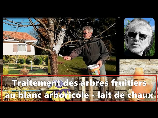 Blanc arboricole naturel à base de chaux Décamp Radical