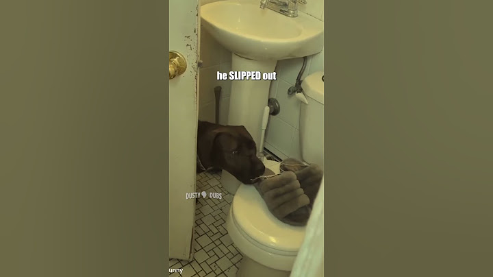 🐕 Mashup 107 Extended Edition #shorts