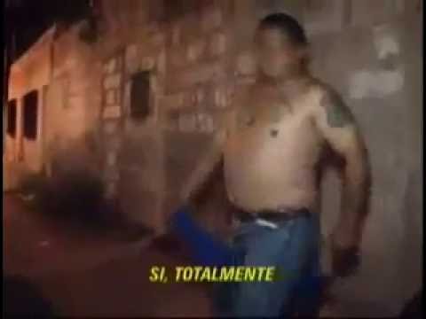 Video porno gordo remarkable, the Really. video porno gordo your