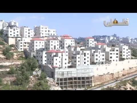 ارتفاع أسعار العقارات في فلسطين ديانا الخياط