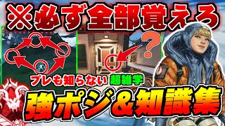 【シーズン20】全部知ってる人いるの？オリンパスランクが楽々攻略できる強ポジ&ガチ知識集【ApexLegends】