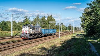 (619) Lokomotywy TEM2 - Tamary
