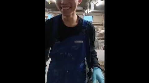 Cuộc sống tại Đan Mạch của 1 bạn TTS làm Farm lợn