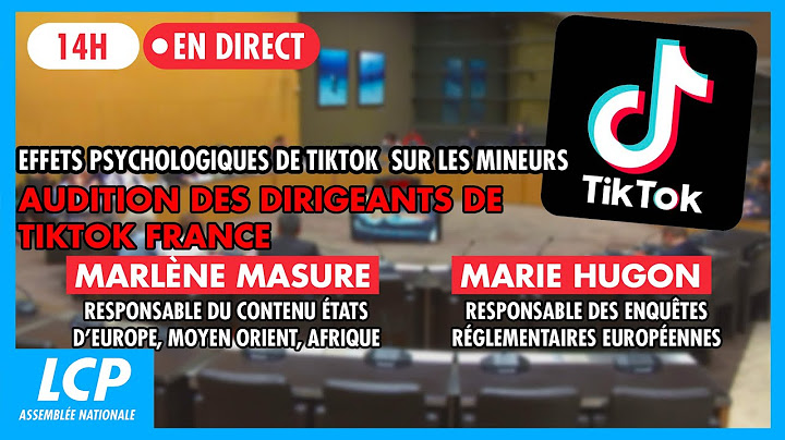 Effets psychologiques de Tik Tok : audition des responsables de TikTok France - 12/06/25