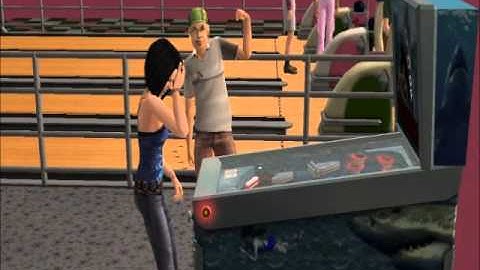 Take a Hint (Sims 2 Video)